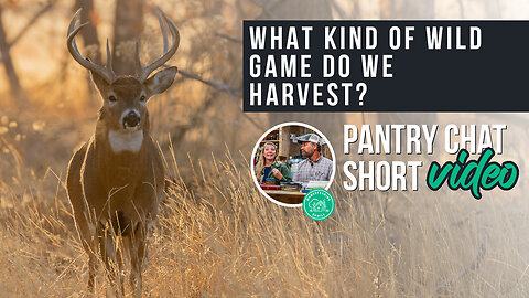What Wild Game Do We Harvest? | Pantry Chat Podcast SHORT