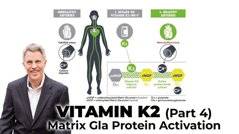 Vitamin K2 (Pt 4): Matrix Gla Protein Activation (Summary)