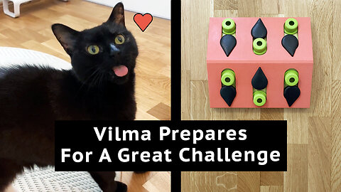 Vilma Prepares For a Great Challenge!