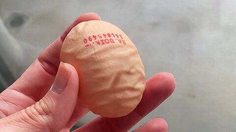 A Really Wrinkly Egg