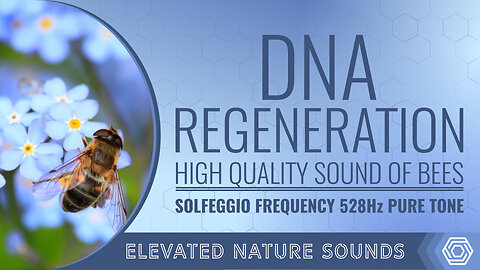 528 Hz for DNA Regeneration: Relax and Rejuvenate with the Sounds of Nature