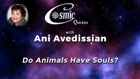 Do animals have souls?
