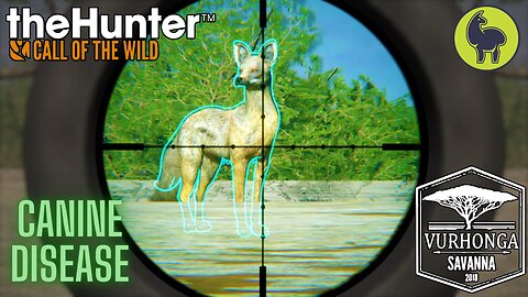 Canine Disease, Vurhonga Savanna | theHunter: Call of the Wild (PS5 4K)