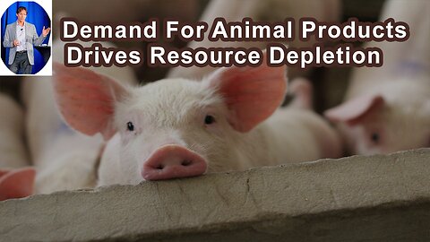 The Demand For Animal Products In Developed Countries Drives Depletion In Developing Countries