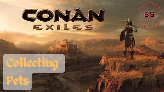 Conan Exiles Pet Collecting