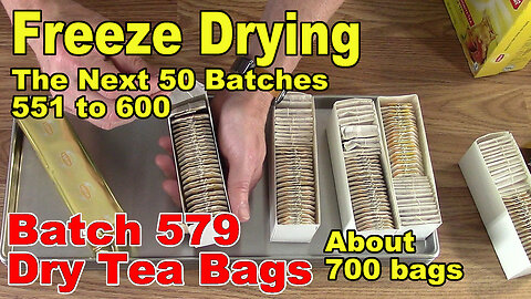 Freeze Drying - The Next 50 Batches - Batch 579 - Dry tea bags