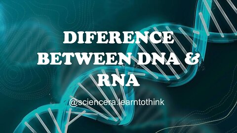 What's the difference between DNA and RNA? - BMI2601