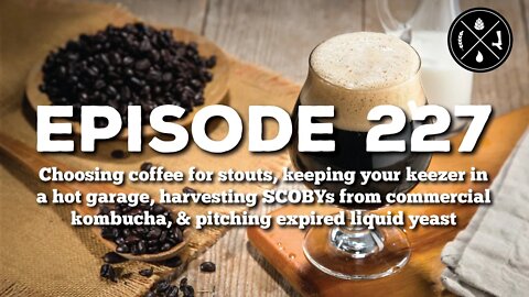 Choosing coffee for stouts, garage keezers, harvesting SCOBYs, & pitching expired yeast - Ep 227