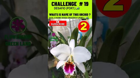 CHALLENGE # 19 |WHATS IS NAME OF THIS ORCHIDS?|YOU WANT TO LEARN? |# SHORT