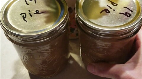 Home canned Apple Pie Filling!