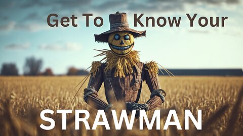 Strawman: The Great Government Scam
