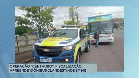Operação "Centauro": fiscalização apreende 13 ônibus clandestinos em Minas Gerais