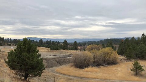 So... my Idaho deer hunt turned into an Idaho bear hunt...