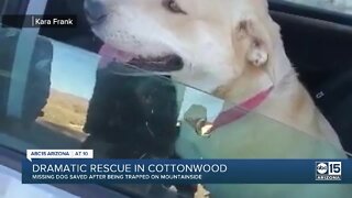 Dog rescued off a mountain cliff in Cottonwood