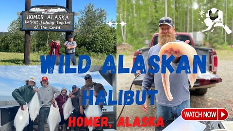Wild Alaskan Halibut Fishing, Homer Alaska 2022 | completely processing 100 pounds of fish