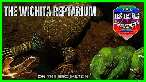 BEC Watch Entries: #33 The Wichita Reptarium