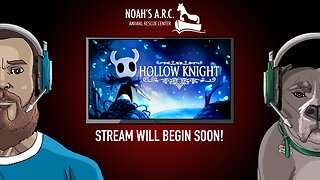 Hollow Knight - 1st RIPthrough [Part 3] // Animal Rescue Stream // Volunteer at your local rescue