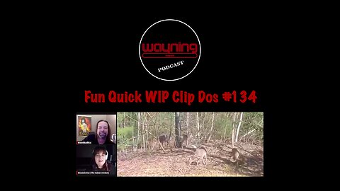 Wayning Interest Podcast Fun Quick WIP Clip Dos From #134 Burgers n' Hair Deer n' Pandas