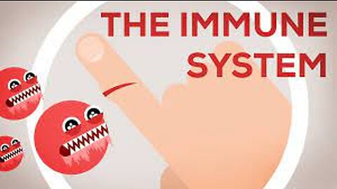 Battling Invaders: Understanding the Immune Response to Bacterial Infections