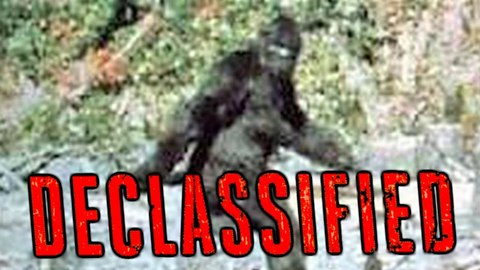 Bigfoot | Declassified