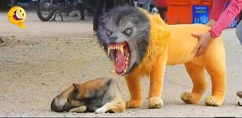 Troll Prank Dog Funny & fake Lion 🦁😂 || Fake Tiger Prank To dog || #1 part video