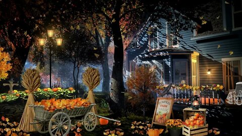 An Evening at the Pumpkin Patch Farm Ambience