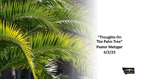 Pastor Metzger - Thoughts On The Palm Tree