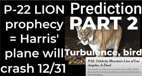 PART 2 - Prediction- P-22 LION prophecy = Harris' plane will crash Dec 31