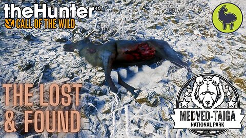 The Lost and Found, Medved Taiga | theHunter: Call of the Wild (PS5 4K)