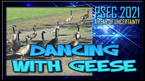PSEC - 2021 - Kekistani Geographic - Dancing With Geese | 432hz [hd 720p]