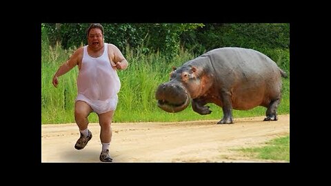 Funny different animals chasing and scaring peoples