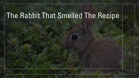 The Rabbit That Smelled The Recipe