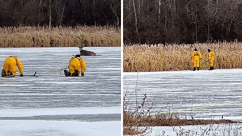 Deer rescued from thin ice in Prior Lake