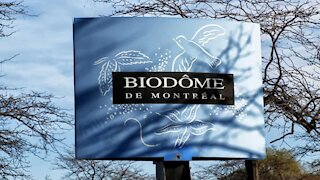 La date de réouverture du Biodôme de Montréal est enfin confirmée et c'est bientôt
