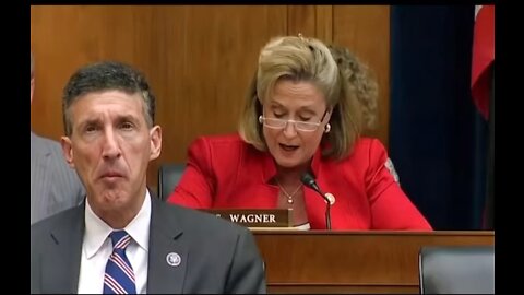 Ann Wagner said You’re a liar Madame speaker￼