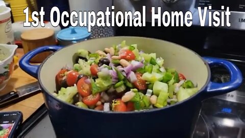 Home Stroke Recovery - Ep 21 - 1st Occupational Home Visit - Lisa and I Go Shopping