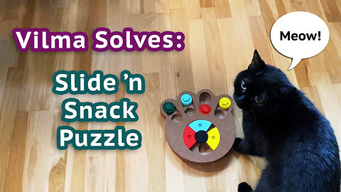 Vilma Cat Solves: Slide And Snack Puzzle