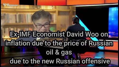 Ex-IMF Economist David Woo discuss