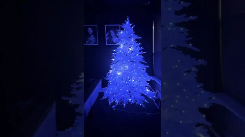 Now that’s a Christmas Tree #fyp #lightuptree #twinkly