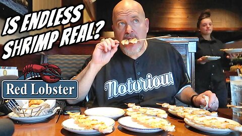 RED LOBSTER ENDLESS SHRIMP VS THE BUFFET KING - HOW MUCH IS TOO MUCH?