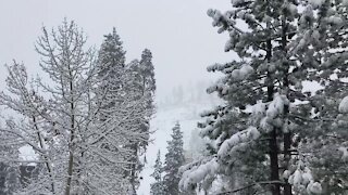 Storm brings eight inches of new snow to China Peak Mountain Resort