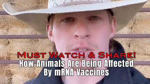How Animals Are Being Affected By mRNA Vaccines