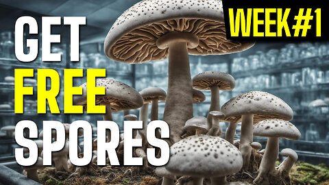 Week 1 free spores give away