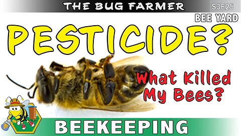 Is Pesticide Killing My Bees? The White hive may have been poisoned.