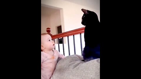 Babys + Animals = Funny Moments 💯 😂😹🤣🤣🤣👍