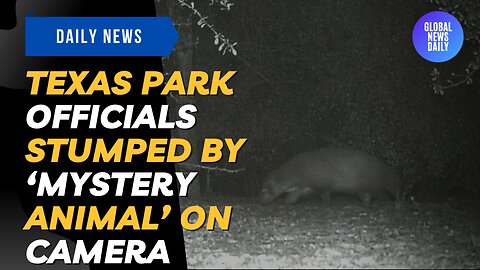 Texas Park Officials Stumped By ‘Mystery Animal’ On Camera