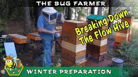 Getting the Flow Hives and the Standard Hives ready for Winter: Adding and testing my hive heaters.
