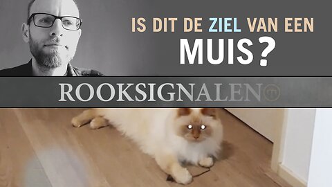 Is dit de ziel van een muis? | Rooksignalen #19