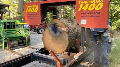 Big Oak Slabs and then some