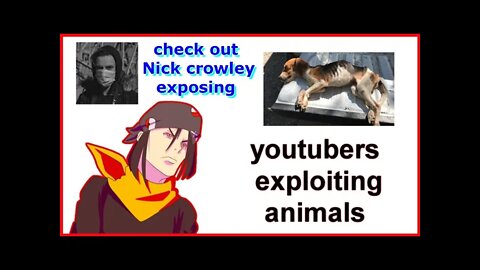 go check out nick Crowleys channel exposing youtubers exploiting animals